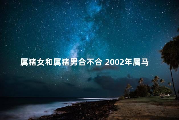 属猪女和属猪男合不合 2002年属马的运势和财运